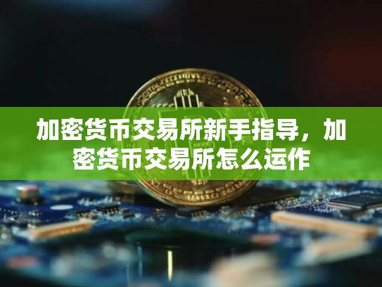 加密货币交易所新手指导，加密货币交易所怎么运作-第1张图片-币数通
