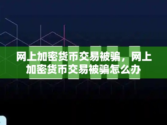 网上加密货币交易被骗，网上加密货币交易被骗怎么办-第1张图片-币数通