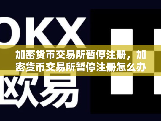 加密货币交易所暂停注册，加密货币交易所暂停注册怎么办