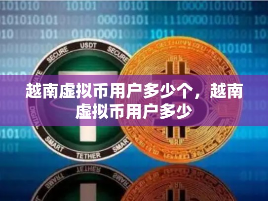 越南虚拟币用户多少个，越南虚拟币用户多少-第1张图片-币数通