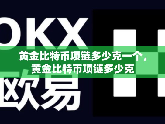 黄金比特币项链多少克一个，黄金比特币项链多少克