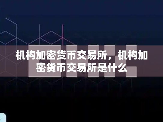 机构加密货币交易所，机构加密货币交易所是什么-第1张图片-币数通