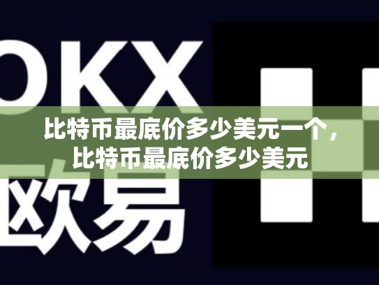 比特币最底价多少美元一个，比特币最底价多少美元-第1张图片-币数通