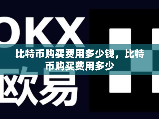 比特币购买费用多少钱，比特币购买费用多少
