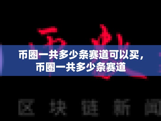 币圈一共多少条赛道可以买，币圈一共多少条赛道