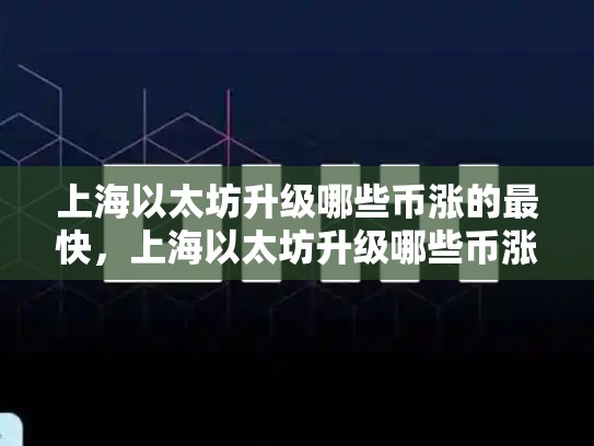 上海以太坊升级哪些币涨的最快，上海以太坊升级哪些币涨