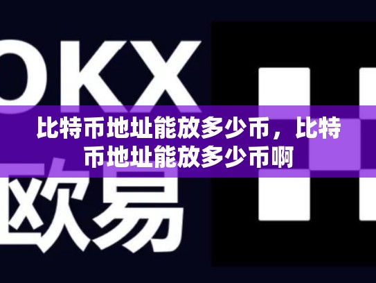 比特币地址能放多少币，比特币地址能放多少币啊-第1张图片-币数通
