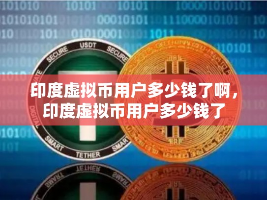 印度虚拟币用户多少钱了啊，印度虚拟币用户多少钱了-第1张图片-币数通