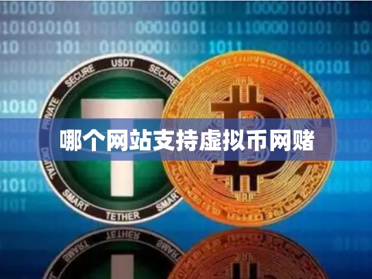 哪个网站支持虚拟币网赌-第1张图片-币数通