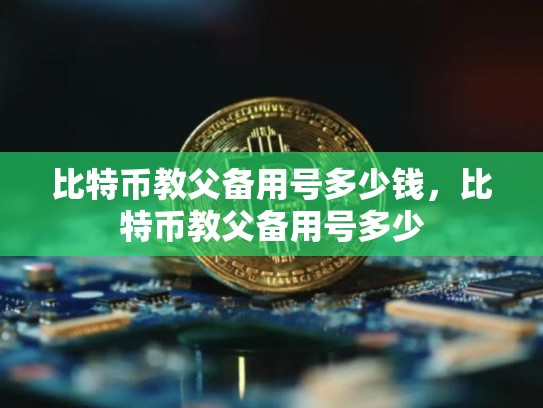 比特币教父备用号多少钱，比特币教父备用号多少-第1张图片-币数通