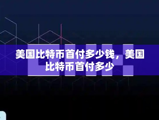 美国比特币首付多少钱，美国比特币首付多少-第1张图片-币数通