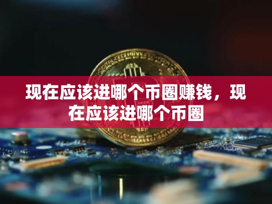 现在应该进哪个币圈赚钱，现在应该进哪个币圈-第1张图片-币数通
