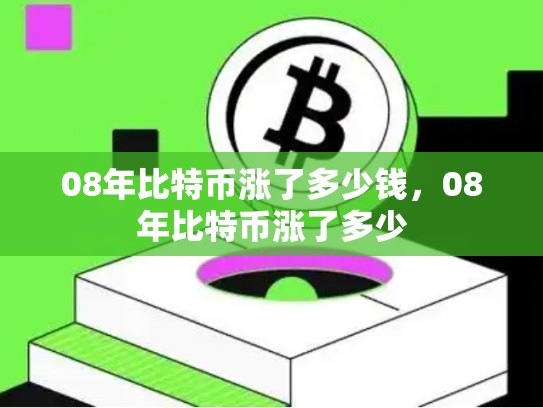 08年比特币涨了多少钱，08年比特币涨了多少-第1张图片-币数通