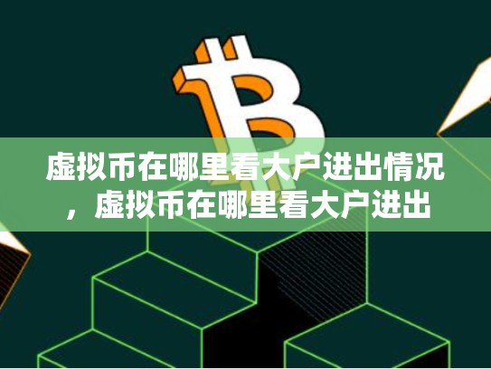 虚拟币在哪里看大户进出情况，虚拟币在哪里看大户进出-第1张图片-币数通