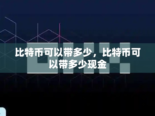 比特币可以带多少，比特币可以带多少现金-第1张图片-币数通