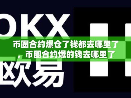 币圈合约爆仓了钱都去哪里了，币圈合约爆的钱去哪里了-第1张图片-币数通