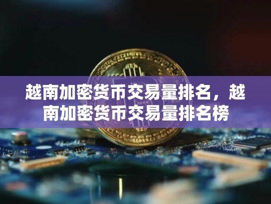 越南加密货币交易量排名，越南加密货币交易量排名榜-第1张图片-币数通