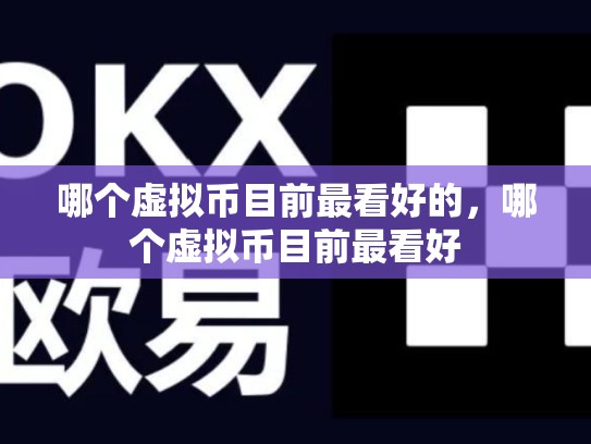 哪个虚拟币目前最看好的，哪个虚拟币目前最看好-第1张图片-币数通