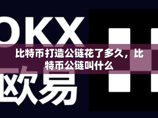 比特币打造公链花了多久，比特币公链叫什么