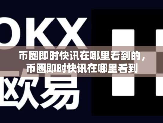 币圈即时快讯在哪里看到的，币圈即时快讯在哪里看到