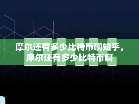 摩尔还有多少比特币啊知乎，摩尔还有多少比特币啊-第1张图片-币数通
