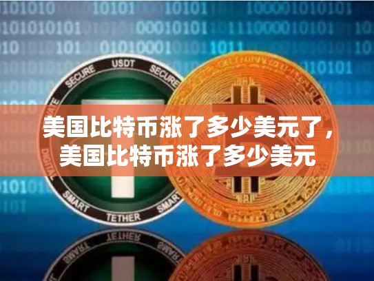 美国比特币涨了多少美元了，美国比特币涨了多少美元