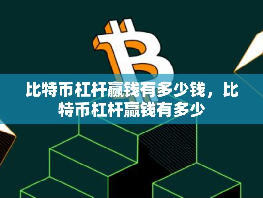 比特币杠杆赢钱有多少钱，比特币杠杆赢钱有多少