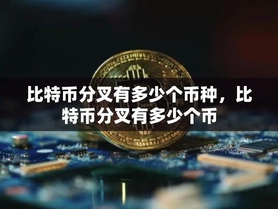 比特币分叉有多少个币种，比特币分叉有多少个币-第1张图片-币数通