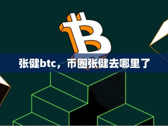 张健btc，币圈张健去哪里了
