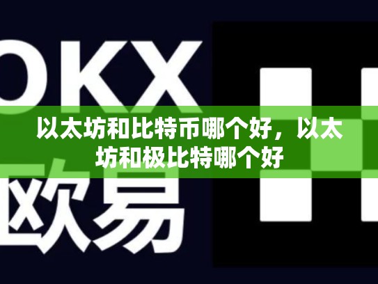 以太坊和比特币哪个好，以太坊和极比特哪个好