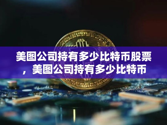 美图公司持有多少比特币股票，美图公司持有多少比特币