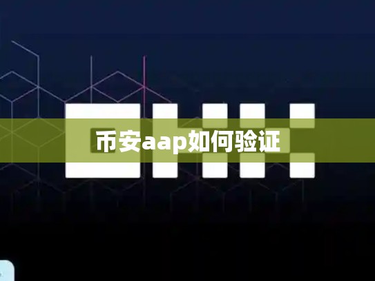 币安aap如何验证-第1张图片-币数通