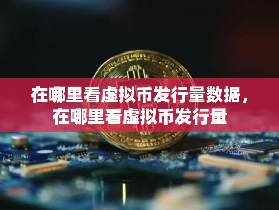 在哪里看虚拟币发行量数据，在哪里看虚拟币发行量