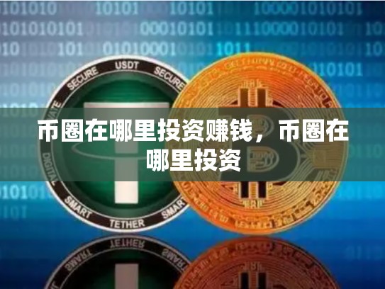 币圈在哪里投资赚钱，币圈在哪里投资-第1张图片-币数通