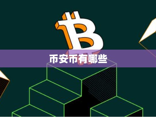 币安币有哪些