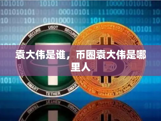 袁大伟是谁，币圈袁大伟是哪里人-第1张图片-币数通