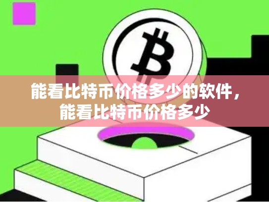 能看比特币价格多少的软件，能看比特币价格多少-第1张图片-币数通