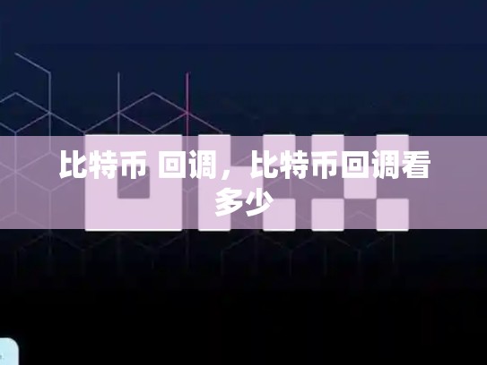 比特币 回调，比特币回调看多少-第1张图片-币数通