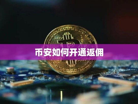 币安如何开通返佣-第1张图片-币数通