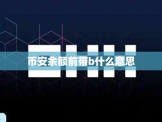 币安余额前带b什么意思-第1张图片-币数通