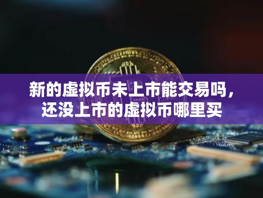 新的虚拟币未上市能交易吗，还没上市的虚拟币哪里买