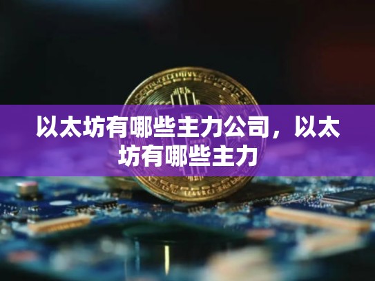 以太坊有哪些主力公司，以太坊有哪些主力-第1张图片-币数通