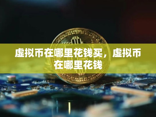 虚拟币在哪里花钱买，虚拟币在哪里花钱