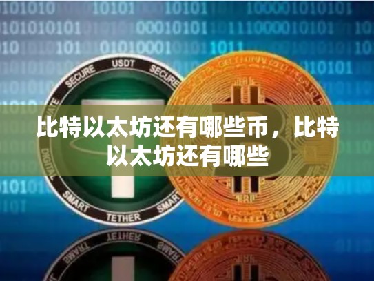 比特以太坊还有哪些币，比特以太坊还有哪些-第1张图片-币数通