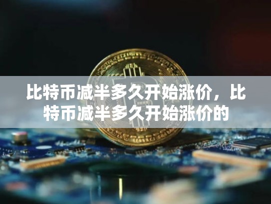 比特币减半多久开始涨价，比特币减半多久开始涨价的