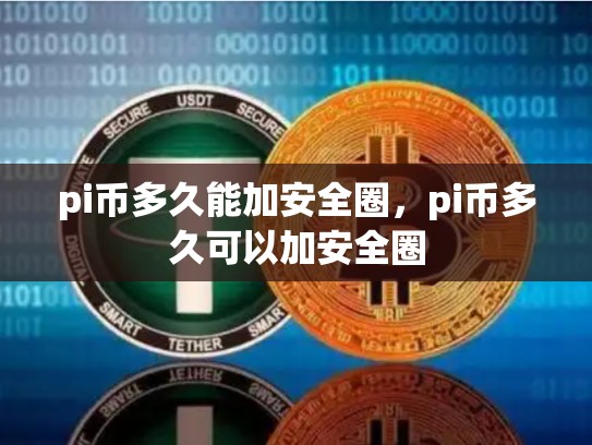 pi币多久能加安全圈，pi币多久可以加安全圈
