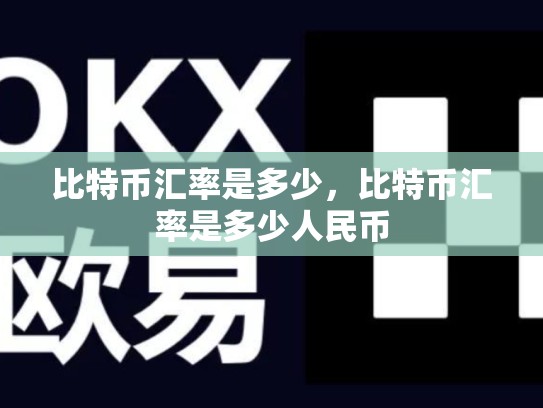 比特币汇率是多少，比特币汇率是多少人民币-第1张图片-币数通