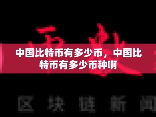 中国比特币有多少币，中国比特币有多少币种啊-第1张图片-币数通