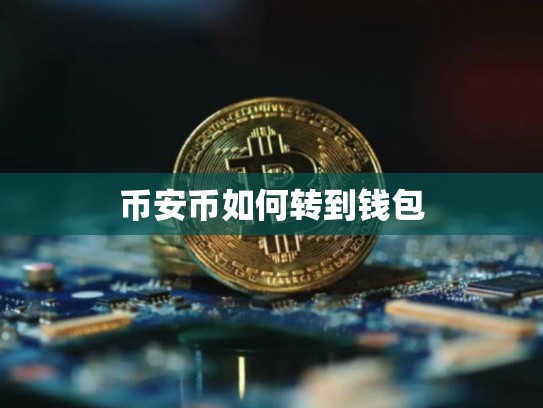 币安币如何转到钱包-第1张图片-币数通