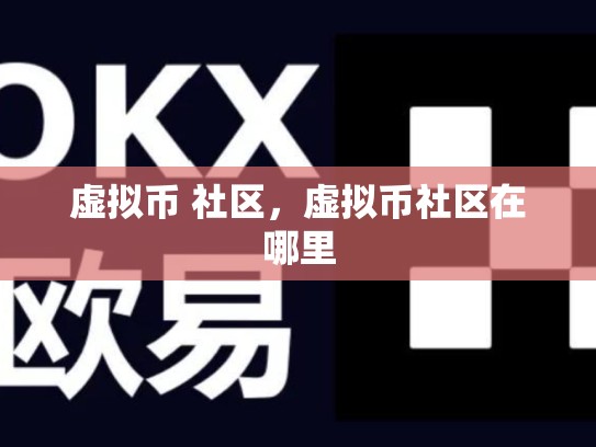 虚拟币 社区，虚拟币社区在哪里